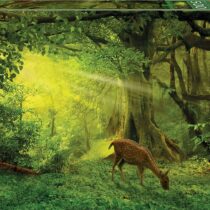 500 PEQUEÑO CIERVO PUZZLE