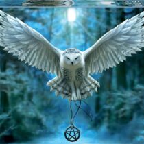 500 DESPIERTA TU MAGIA PUZZLE