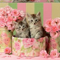 500 GATITOS CON ROSAS PUZZLE