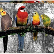 500 PAJAROS EN LA JUNGLA PUZZLE
