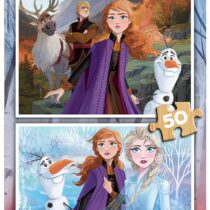 2X50 FROZEN 2 PUZZLE